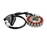 Statore generatore Bobina dello statore Statore adatto per Yamaha X-City X-Max 250 ABS 2007-2016 1C0-H1410-10 1C0-H1410-20