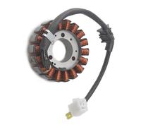 Statore Generatore Compatibile Con CB250 Per Hornet 250 1998-2010 Per JADE250 Moto Magneto Statore Bobina Di Accensione Generatore Parti Di Ricambio