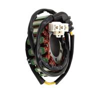 Statore Generatore Compatibile Con CBR1100XX 1999 2000 2001 2002 2003 Magneto Motore Generatore Statore Bobina Oem 31120-MAT-E01 31120-MCC-601