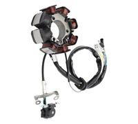Statore Generatore Compatibile Con CRF230F 2007 2008 2009 2010 2011 2012 2013 2014 2015 2016 2017 2018 2019 2020 2021 Statore Bobina Magneto 8 Poli