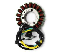 Statore Generatore Compatibile Con Yamaha Per YP250 Per Majesty250 2002-2006 Per YP250 Per Skyliner 2000-2001 Bobina Magnete Statore Accensione Moto