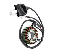 Statore Generatore Compatibile Con Yamaha Per YP400 Per Majesty 2004-2015 Per YP250 Per YP250G Per Grand Per Majesty 2004-2007 Bobina Statore