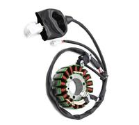 Statore Generatore Compatibile Con Yamaha Per YP400 Per YP400G Per Grand Per Majesty 2005 2006 2007 2008 Bobina Magnete Statore Moto