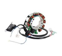 Statore Generatore Compatibile Con Yamaha XT500 1988-1989 XT600 Kick Start 1984-1989 SRX600