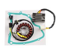 Statore Generatore Regolatore Raddrizzatore Guarnizione per Suzuki LT160 LTF160