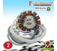 Statore generatore Rotore Generator stator per Motori Minarelli Verticale