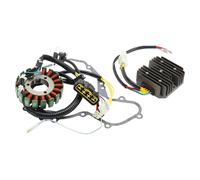 Statore Generatore+Tensione Regolatore+Guarnizione Per Beeline Bestia 5.5 500