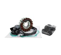 Statore Generatore+Tensione Regolatore+Guarnizione per Yamaha YXZ1000R Ss Xt-R