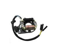 Statore Guard Motociclo Pit Bike ATV Quad Motore 2 Bobine Magneto Statore Copertura Tappo Per 50cc-125cc(Stator)