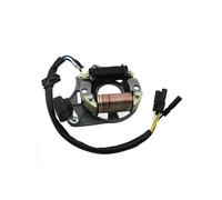 Statore Guard Tappo Di Copertura Dello Statore Del Magnete Con 2 Bobine Per Motore Per Moto Da 50cc A 125cc, Pit Bike, Quad, ATV(Stator)