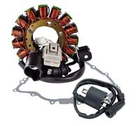 Statore + Guarnizione + Bobina Di Accensione Per Yamaha YXR Rhino 700 2008-2011