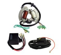 Statore Ho + CDI Scatola + Accensione Bobina per Yamaha Yfs 200 Blaster 1988