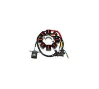 Statore: SGR Monofase 8 Poli Con Pick-Up 1 Cavo Kymco Moto Motore Ricambi