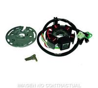 Statore: Kokusan 6 Poli 12v 85w (Motore Derbi Senza Avvio Elettrico) Moto Motore