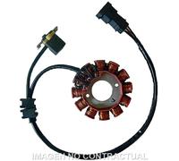 Derbi Statore Kokusan Trifase 12 Poli per Aprilia e Derbi 125