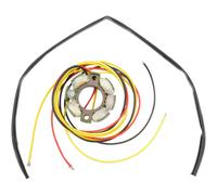 STATORE KTM SX 125 250 2007 2008 2009 2010 2011 2012 ALTERNATORE COMPLETO