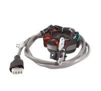 STATORE MAGNETE 5 BOBINE 4 FILI TIPO ORIGINALE PER PIAGGIO HEXAGON LX4 125 1998