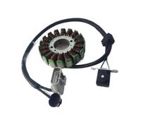 Statore Magnete A 18 Bobine (Diametro Esterno 96,45 Mm) Motocicletta Per TNT25 Per BN251 Per Trk251 (versione Motore A 1 Cilindro) Di Accensione Motore