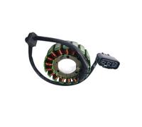 Statore Magnete A 18 Bobine Per TORNADO Per TNT300 Per BN302 Per BN302R 302S Per BJ500 Per Leoncino 500 Per TRK502 Per TRK502X Per RKX 300 Di Accensione Motore