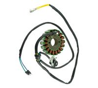 Statore Magnete Bobina Per Kayo Per BSE Motore ATV Dirt Pit Bike 250CC Raffreddato Ad Acqua DC 18 Bobine Magneto Statore 1x