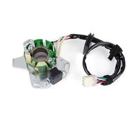 Statore Magnete Bobina Per Suzuki RM125 125RM 1998-2000 Per RM 125 2002 2003 2004 OEM 32101-36E30 32101-36E20 Bobina Statore Generatore Magneto 1x