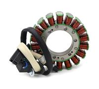 Statore Magnete Bobine 0802-041 Magneto Statore Bobina Accensione Per Arctic Per Cat 700 GT Per TRV 550 Per Prowler Per Mudpro Per Thundercat 555 1000 TRV700 TRV1000 TBX700 Bobina Magneto Statore