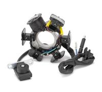 Statore Magnete Bobine Compatibile Con CRF50F Per CRF70F 2004 2005 2006 2007 2008 2009 Bobina Statore Generatore Moto Accessori Moto 31120-GW8-672