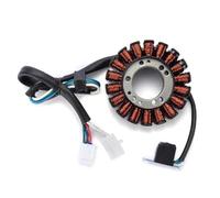 Statore Magnete Bobine Compatibile Con Per KSF400 Per KFX400 2003 2004 2005 2006 2007 Moto Magneto Statore Bobina Generatore Motore Sostituzione 21003-S006
