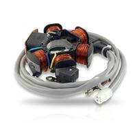 STATORE MAGNETE CAMPO MAGNETICO PIAGGIO Free base 50 1992