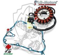 Guarnizione statore Kymco People / People S 250 2006-2007