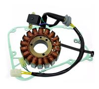 STATORE MAGNETE E GUARNIZIONE KYMCO PEOPLE S 250 300 INIEZIONE