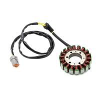 Statore Magnete Moto Motoslitte Bobina Statore Magnete per Ski-Doo per Skandic per Expedition per Legend Touring Cablaggio Bobina