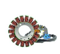 Statore Magnete Per GW250 Per Inazuma Per MAGNETO Per GSXR250 Per GSX-R250 2013-2017 32101-48H00 32101-48H00-000 Bobina Accensione Statore Magneto Statore Bobina
