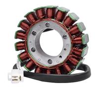 Statore Magnete Per Kawasaki Per KLE650 Per Versys Per Ninja 650 R Per EX650 Per ER-6n 2007-2014 21003-0042 Bobina Statore Magneto Generatore Motore Magneto Statore Bobina