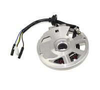 Statore Magnete Per Minarelli Per JOG 90cc 50cc Per Scooter Eton Arctic Cat Per ATV 50 70 90cc Motore 5 Fili 7 Bobine Di Accensione Statore