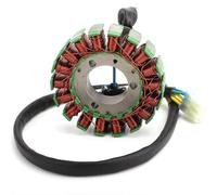 Statore Magnete Per Polaris Per Phoenix 200 2005-2018 Per Sawtooth 200 06-07 Per Phoenix 200 Per Quad Bobina Statore Magneto 0452449 0454228 0454947 Magneto Statore Bobina