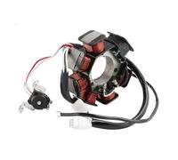 Statore Magnete Statore Alternatore 7 Bobine Per YBR125 2004 YBR125E 2006 YBR125EGS 2010 A/C