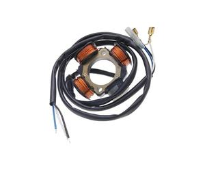 STATORE MAGNETE VOLANO GENERATORE DI CORRENTE 6 BOBINE PER PIAGGIO APE HPT DIESIS 502 ORIGINALE PIAGGIO 498661.