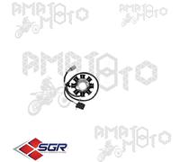 STATORE MAGNETE VOLANO SGR 163063 MALAGUTI CIAK / CIAK MASTER / RST E2 125