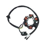 Statore Magneto 6 Poli Bobina Compatibile con Unità Motore GY6 125CC 150CC Scooter ATV Go Kart