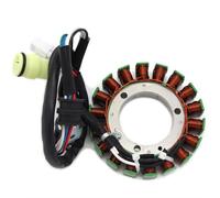 Statore Magneto Compatibile Con Yamaha Per YFM35BA Per Bruin 350 2WD 2004 2005 2006 5UH-81410-00 Bobina Accensione Per Motocicletta Bobina Accensione Per Motocicletta Accessori