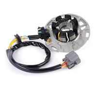Statore Magneto Per KX125 Per KX125-L1 1999 21003-1339 Bobina Statore Per Motocicletta Piastra Statore Magnete Per Motocicletta Bobina Di Accensione Accessori