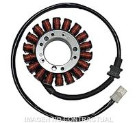 Mitsubishi Trifase 18 Poles Kawasaki Vn 800 Stator Argento