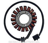 Mitsubishi Statore Trifase 18 Poles Kawasaki Zzr 600