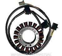 Statore Mitsubishi Trifase 18 Poli Suzuki LS P Savage Per Moto Ricambi