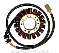 Statore: Mitsubishi Trifase 18 Poli Yamaha xv1600a Wild Star Moto Motore Ricambi