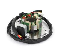 Statore moto Bobina Statore Generatore Magneto Per Off-Road 125 Six Days LE EGS 6KW SXS 200 GS 8kW EGS 12LT Fuoristrada
