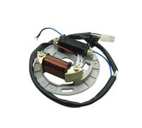 Statore Moto Per Suzuki 2 Tempi 100cc AX 100 2T Bobina FR80 Motorino Motociclo AX100 Kit Rotore Interno Accensione Statore Magneto Bobina Con Piastra Statore Magnete Bobine