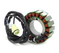 Statore motocicletta Bobina dello statore del generatore per motocicletta adatta per Kawasaki ZX1200 adatta per Ninja ZX-12R 2000-2001 21003-1351 21003-0010