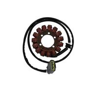 STATORE originale per KAWASAKI 600 Ninja ZX-6R 2009-2016 SGR